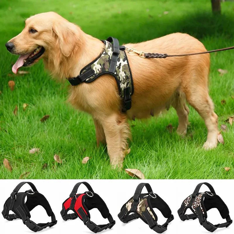 Medium and Large Dog Collar