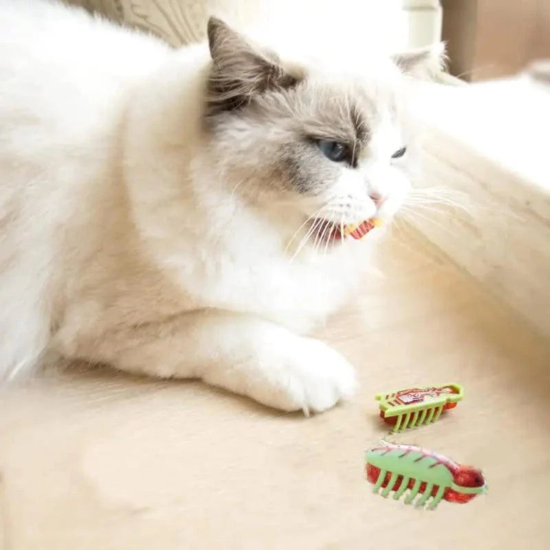 Cat Toys Teaser