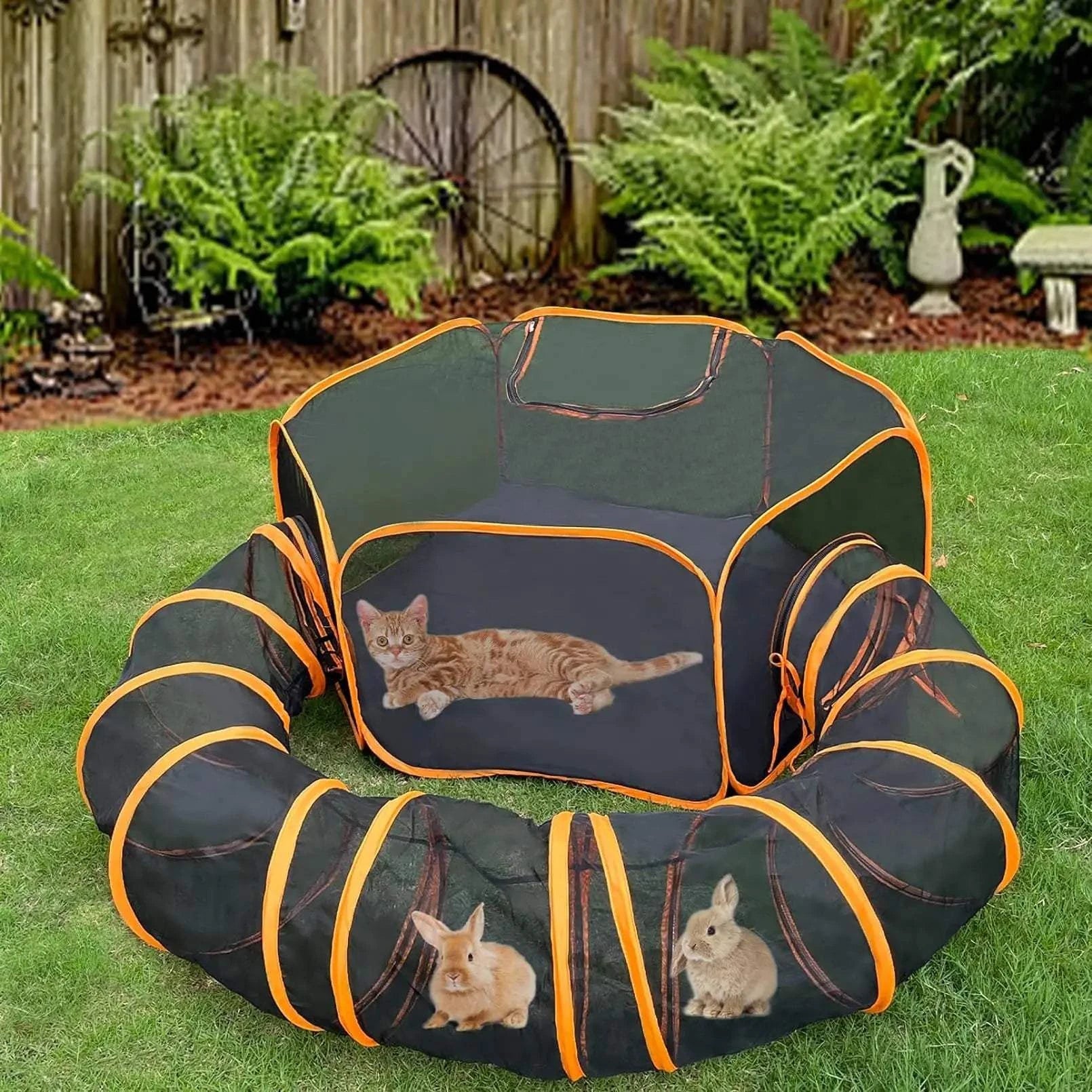 Outdoor Cat Enclosure