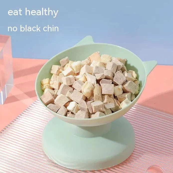 Oversize Plastic Pet Bowl