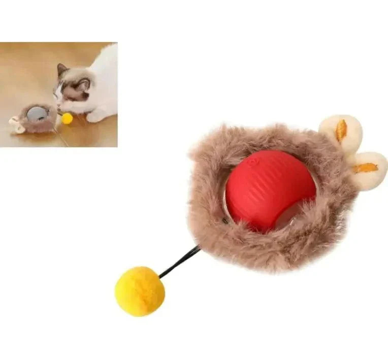 Interactive Cat Toys