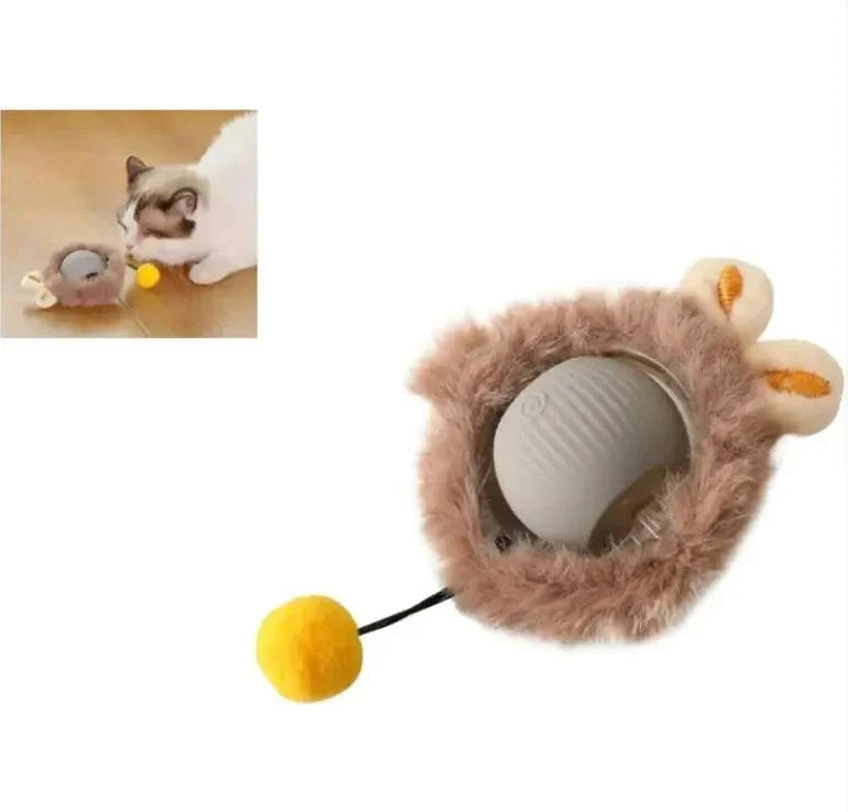 Interactive Cat Toys