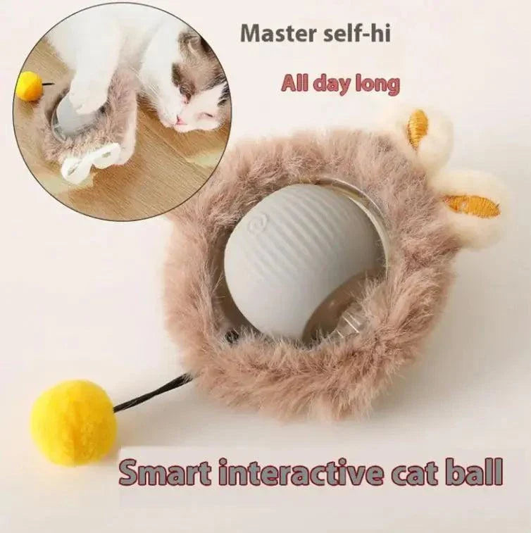 Interactive Cat Toys