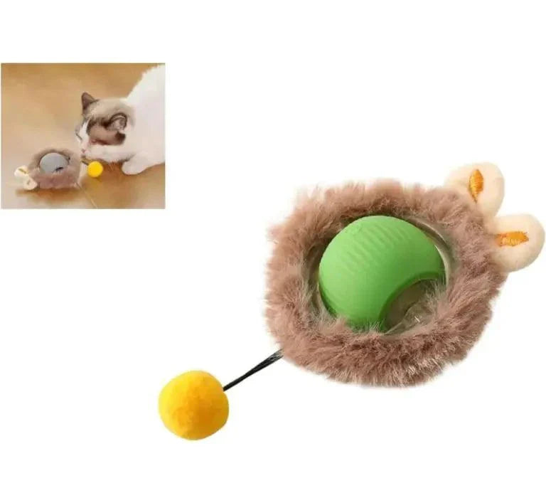 Interactive Cat Toys