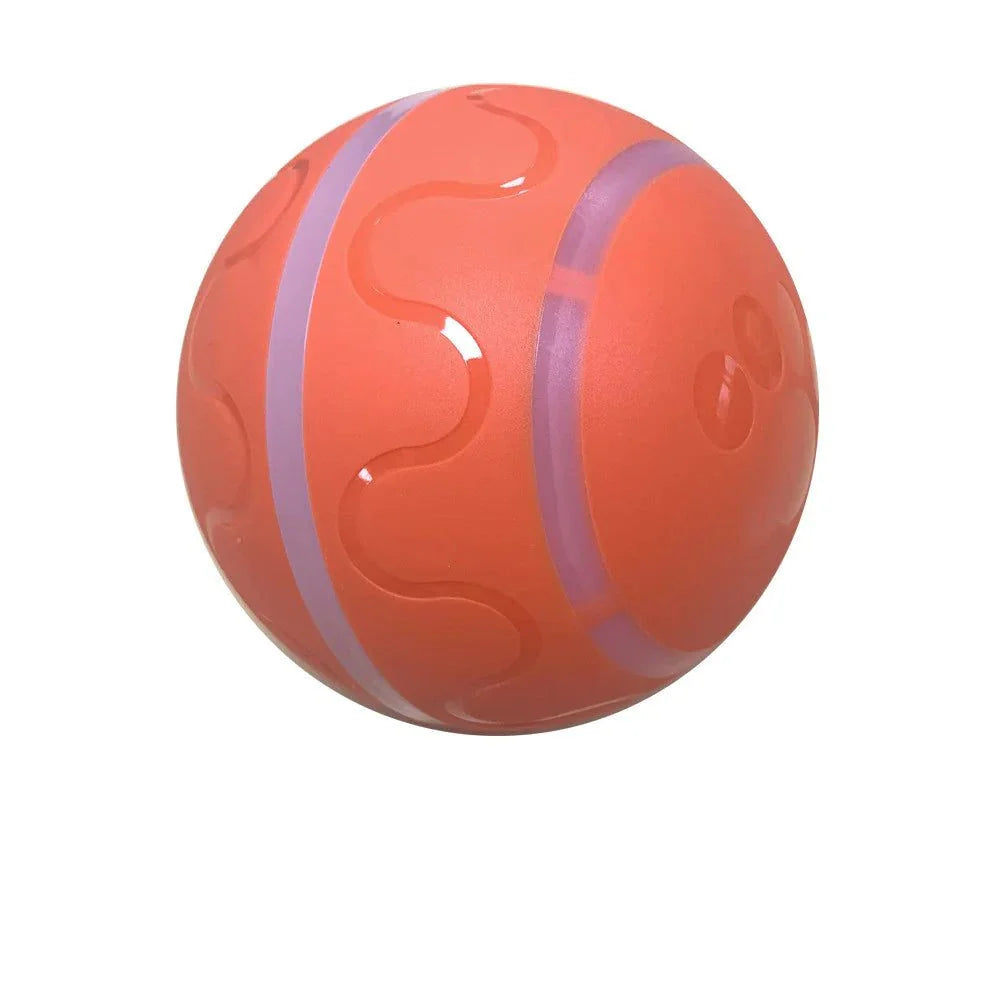 Wicked Ball Toy